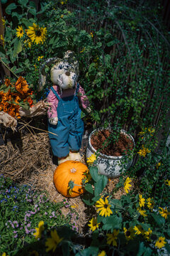 plush rabbit doll standing on hay near orange pumpkin, rustic fall harvest decoration featuring handmade bunny toy and yellow flowers outdoors