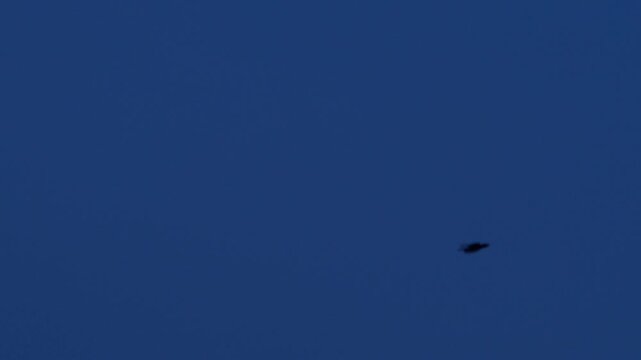Flock of black crows flying across blue twilight sky at dusk, camera panning to follow the birds in flight above green treetops, wild birds silhouette, evening wildlife nature scene