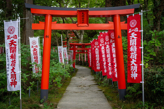 Red torii gates and shrine banners line a forested approach to a shrine in Dazaifu
