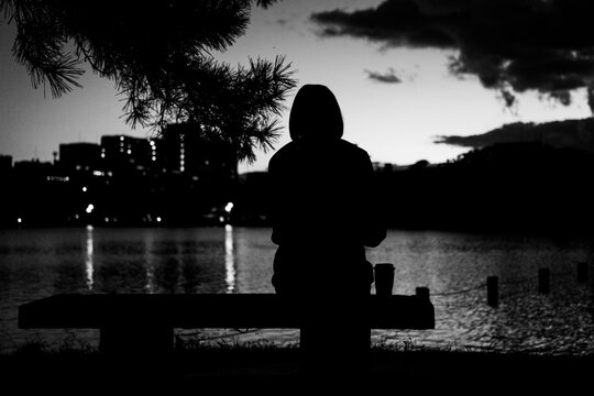 Hooded figure sits on a lakeside bench beneath pine branches at a city waterfront at dusk