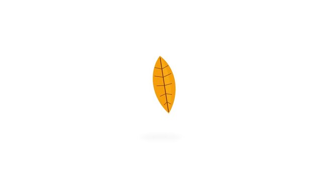 Minimalist hand-drawn yellow autumn leaf isolated on white background