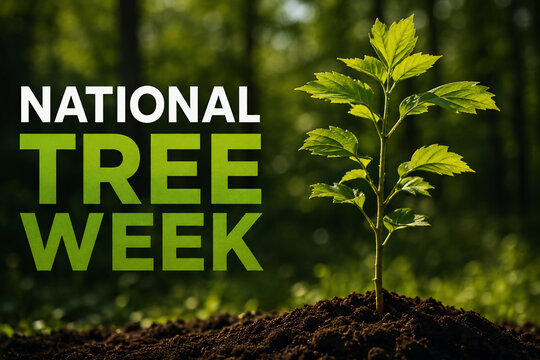 National Tree Week Environmental Conservation and Planting Poster