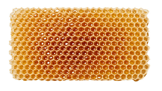 Fresh golden honeycomb slab filled with liquid nectar
