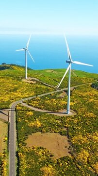 Wind turbines standing in a scenic coastal field with yellow flowers and ocean