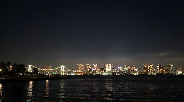 Night city skyline with illuminated bridge and waterfront view