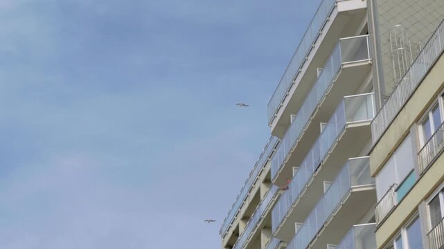 Two seagulls flying above apartment buildings slow motion against a blue sky