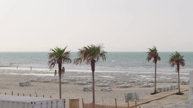 Unrecognizable people running across a sandy beach toward the sea with palm trees in the foreground