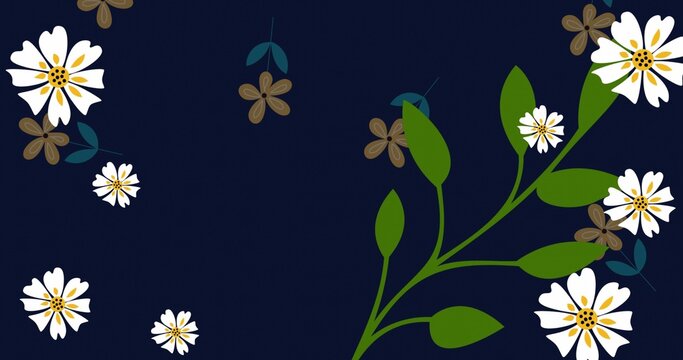 Showing green stem arcing on navy field with white daisies teal leaves brown flowers, copy space