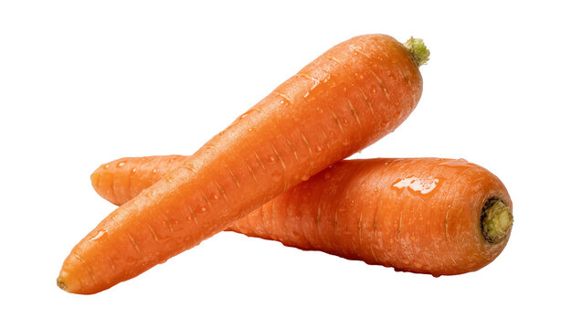 Two fresh raw orange carrots with water droplets