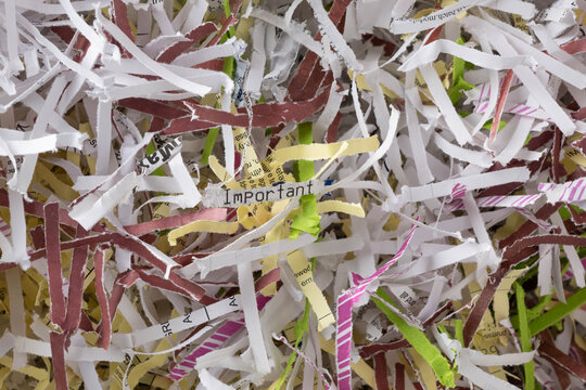 The word important printed on a white piece of shredded paper in the middle of a pile of paper shreds.  Data security, recycling concepts.