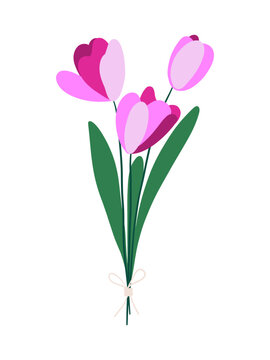 Pink Tulip Bouquet Vector Illustration Flat Style Twine Bow