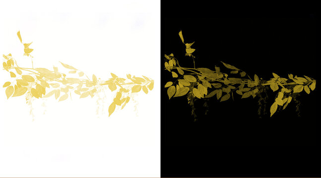 Golden leaf border illustration, luxury metallic foliage divider on black and white backgrounds, elegant botanical decorative element for invitations