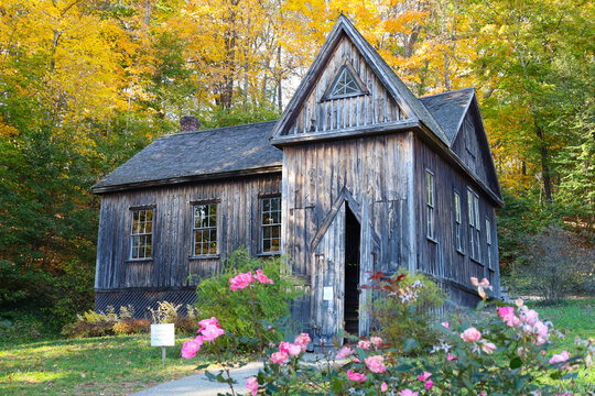 Historic Concord School of Philosophy Building Surrounded by Blooming Pink Roses in Autumn