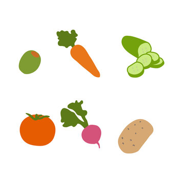 Fresh vegetables set including olive, carrot, sliced cucumber, tomato, radish, and potato in flat vector style