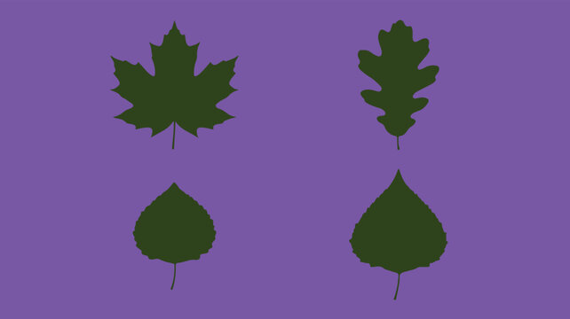 Minimalist green leaf silhouettes, set of 4 botanical tree leaf icons on purple background, flat vector nature elements for autumn design