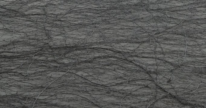 Tangled dry climbing vine with bare branches spreading across a weathered gray concrete wall, creating an organic natural pattern and neutral urban background