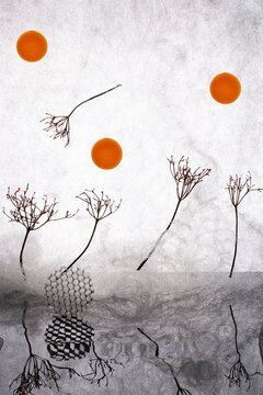 Small twigs, a figurine, and orange spheres against a gray background