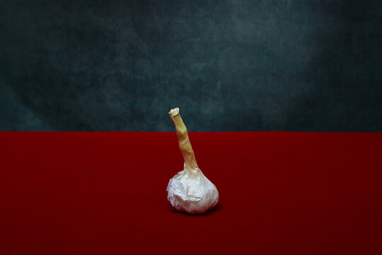 Ripe garlic bulb on a red table