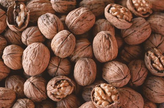 Inshell walnut pile harvest background. Organic cracked nut kernel market display