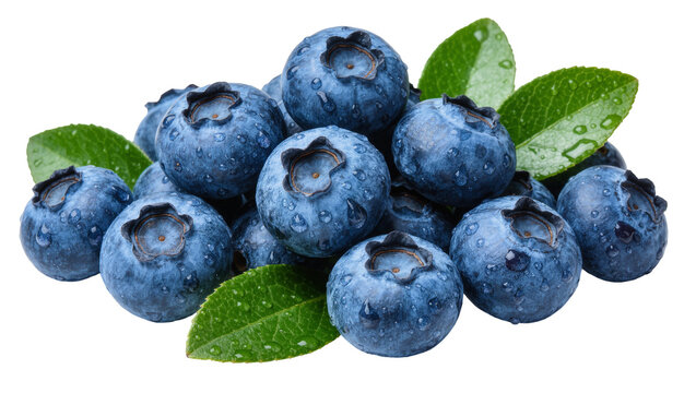 Fresh ripe blueberries with green leaves and water droplets