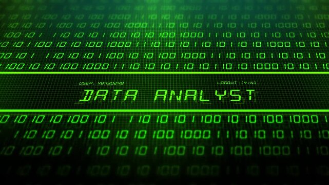  IT Job Title Series with Software Code - Data Analyst