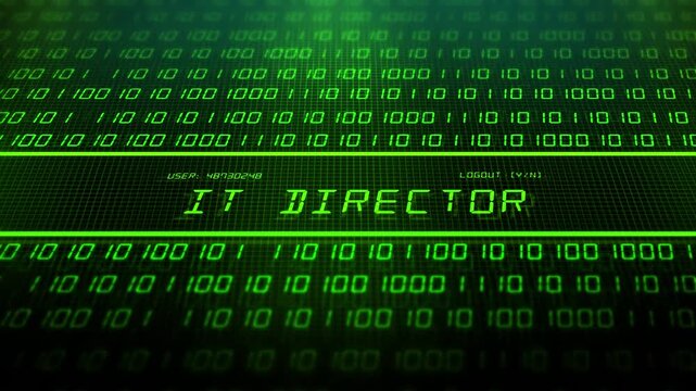 : IT Job Title Series with Software Code - IT Director