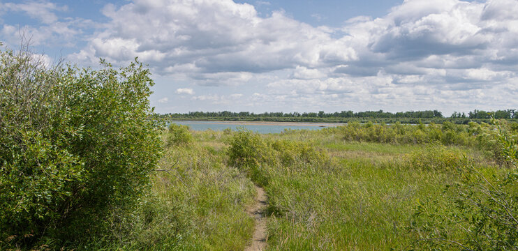 Narrow Footpath Through Tall Prairie Grass Leading to a River