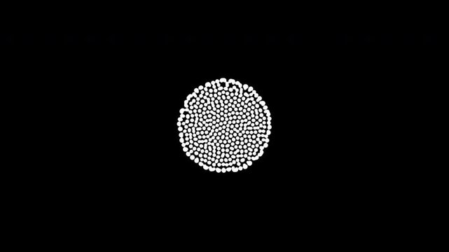 Abstract black and white maze pattern gradually expands and fills the screen with dense organic curved lines. Monochrome animated graphic with hypnotic flowing shapes and intricate visual structure.