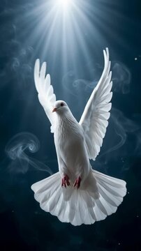 White dove flying in heavenly glowing light ray spiritual background. Perfect for religious concepts, peace symbols, church visuals, baptism invitations and ethereal event templates.