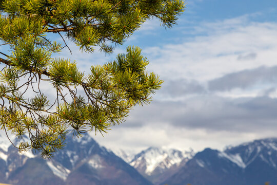 Russia, Transbaikal Territory: Kodar Range.