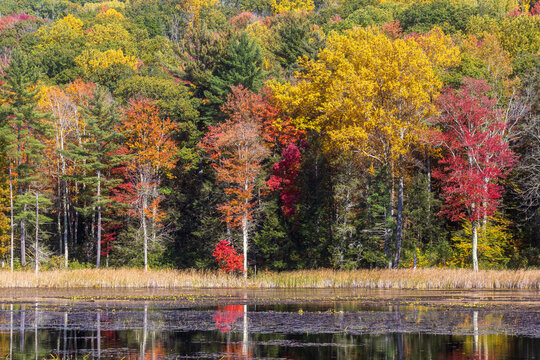 Fountain Pond in the Berkshires in autumn