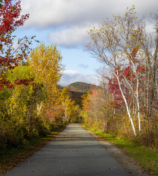 Ashuwillticook Rail Trail in Cheshire, Massachusetts