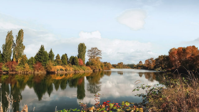 Trees Clouds and Water Reflections