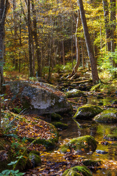 Notch Brook flowing past rocks in autumn