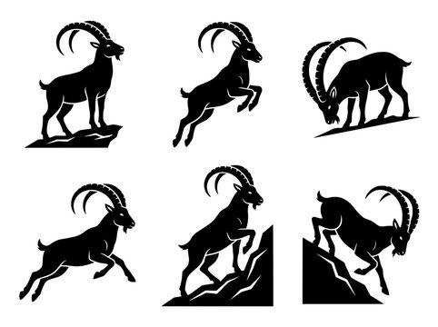Alpine ibex mountain goat vector silhouettes set, wild horned animal mascot collection, black outdoor wildlife icon set for logo design