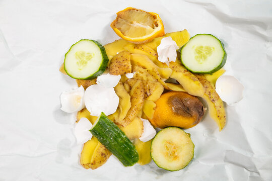 Organic food waste, compost of scraps and peelings of potatoes, cucumbers, eggshells and a rotten lemon fruit, zero garbage, leftovers, recycling and envirionment concept
