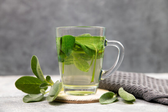 Sage tea hot drink in a glass, fresh green sage leaves, Salvia officinalis, anti inflammatory and antiseptic properties, scratchy throat inflammation, herbal, holistic medicine