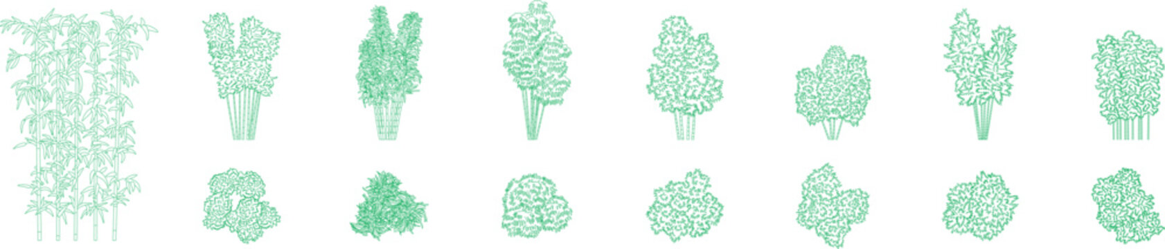 Bamboo plants, trees, front and top view, landscape, symbol, floor plan, architectural plan, blueprint, editable stroke, vector