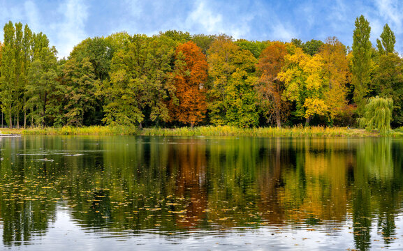 Badesee im Herbst im Volkspark Jungfernheide, Berlin, Deutschland