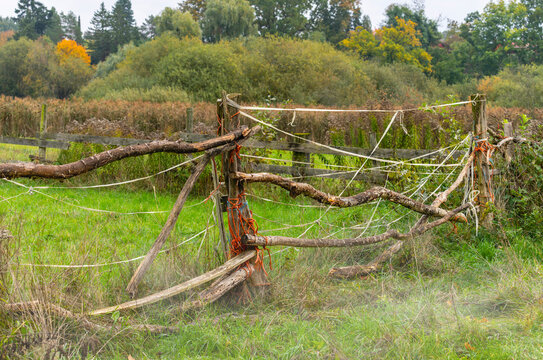 Ein alter, improvisierter Weidezaun aus krummen Holz&auml;sten, Schn&uuml;ren, B&auml;ndern und orangefarbenem Bindfaden steht auf einer Wiese, Berlin, Deutschland