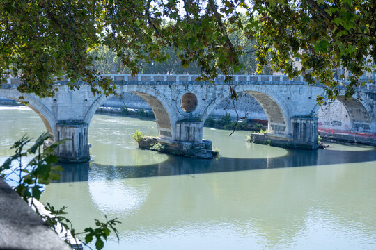 Ponte Sisto stone arch bridge over the Tiber River framed by autumn tree leaves, Rome, Italy