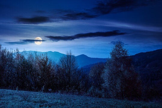 beautiful autumn in Carpathian mountains at night. full moon over trees on the edge of a hill in fall colors. wonderful countryside landscape mysterious fantasy