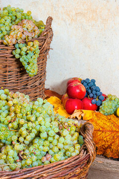 variety of ripe fruits on the wooden plank. autumn harvest rustic composition. rural organic food in fall season. applicable as healthy food background for thanksgiving