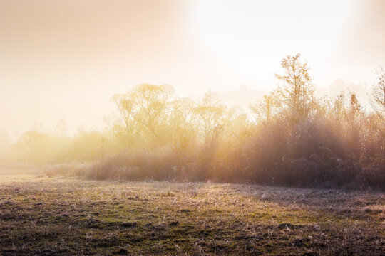 mysterious autumn landscape natural image of sunbursts through morning fog on hillside in mountainous rural area. meadow in hoarfrost and mist
