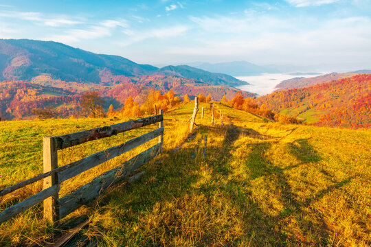 autumn landscape. fence near hillside meadow in Carpathian mountains. few trees of forest on a grassy slope in morning light