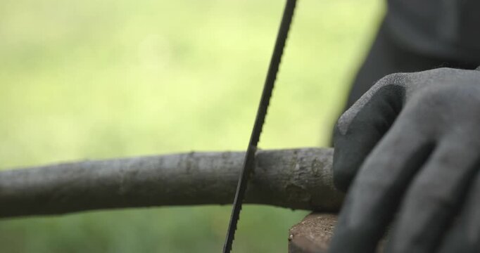 Male hands sawing twigs branches with a hand saw. 4K 10-bit