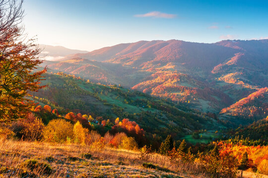 mountainous countryside landscape at sunrise. peaceful sky above the distant valley. colorful fields and trees on the hill. beautiful nature landscape of Carpathians