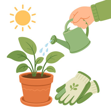 Illustrated gardening scene with a hand watering a leafy potted plant beside gardening gloves