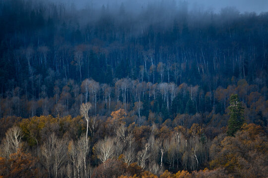 Autumn At Kolob Terrace