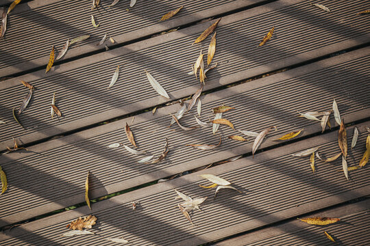 Scattered dry leaves and seed pods across weathered ribbed wooden decking with strong diagonal shadows, muted brown and gray tones, and natural outdoor texture overhead